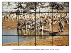Puzzle-Zebra-1.pdf